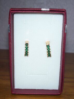 Green and gold Earrings